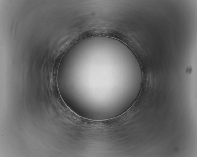 X0000112751250200909101531