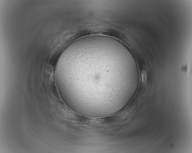 X0000112751251200909101531