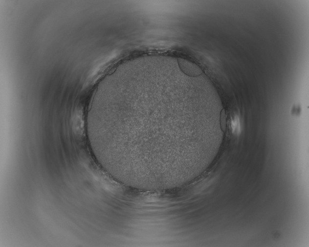 X0000112751252200909101531