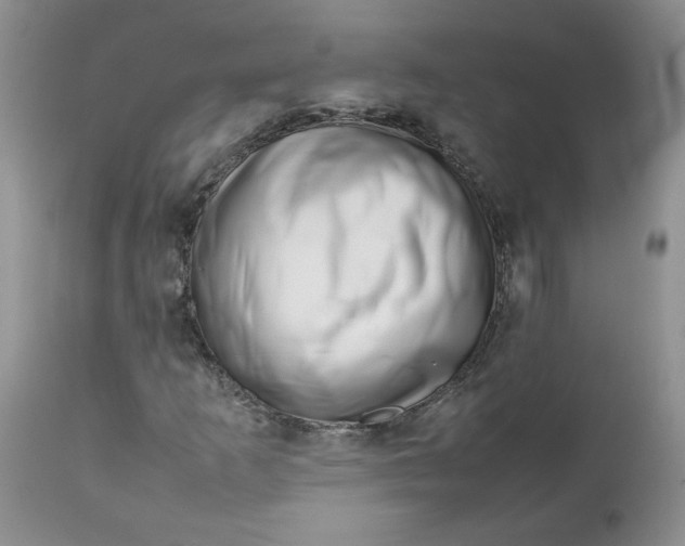 X0000112751253200909101531