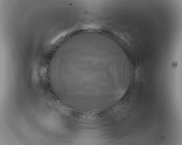 X0000112751254200909101531