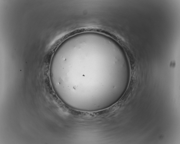 X0000112751255200909101531