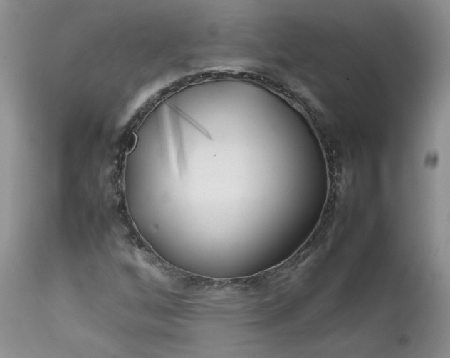 X0000112751256200909101531