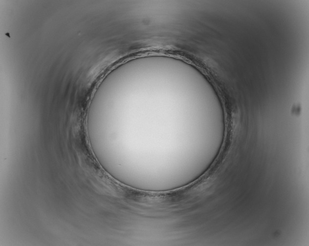 X0000112751257200909101531