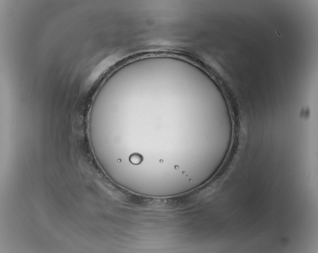 X0000112751259200909101531