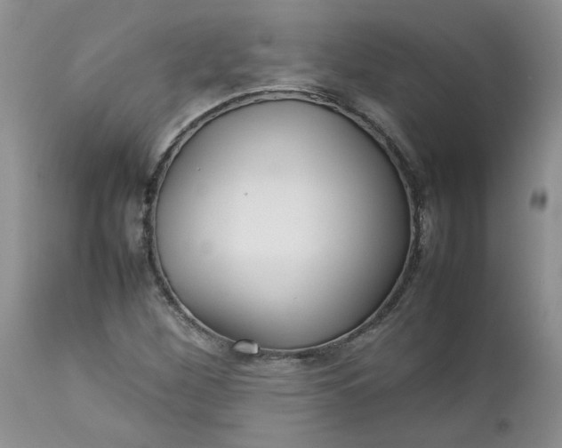 X0000112751260200909101531