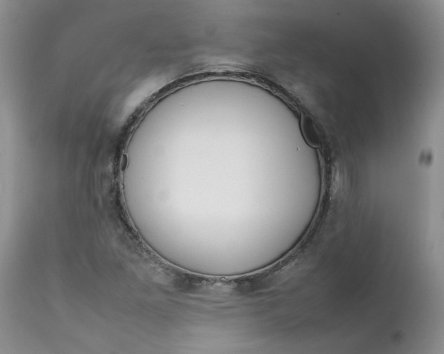 X0000112751261200909101531