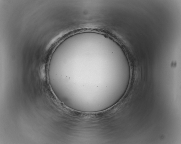 X0000112751262200909101531