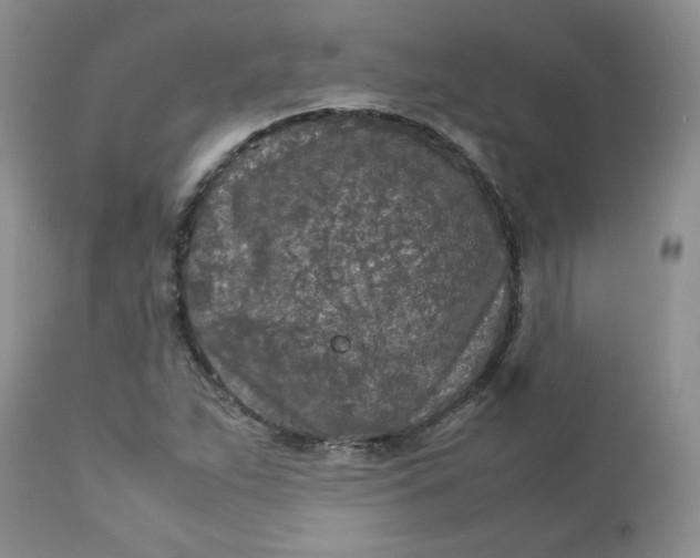 X0000112751263200909101531