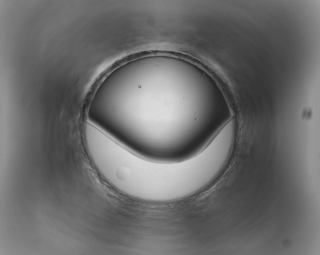 X0000112751264200909101531