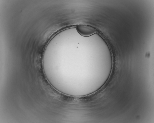 X0000112751265200909101531