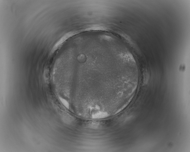 X0000112751266200909101531