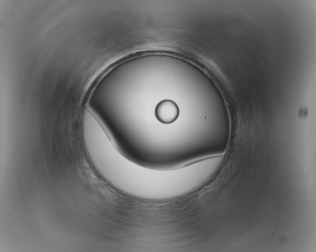 X0000112751268200909101531