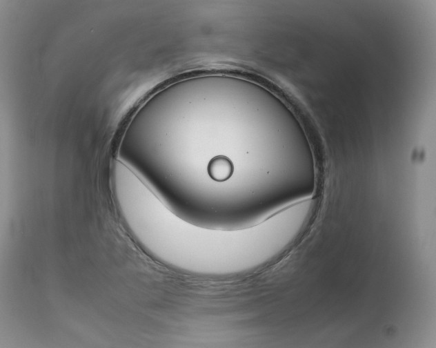 X0000112751269200909101531