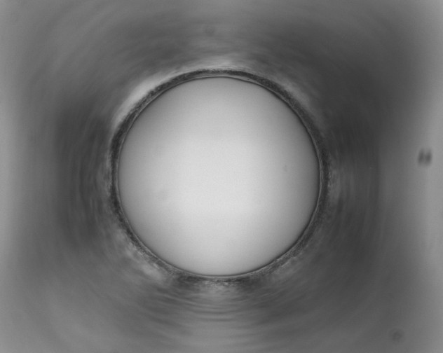 X0000112751270200909101531