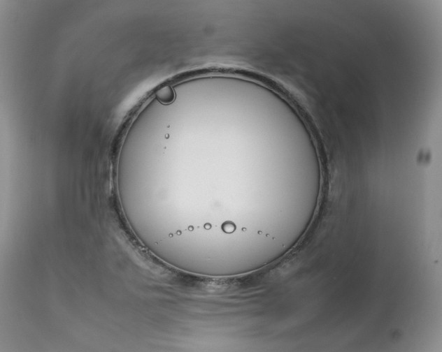 X0000112751271200909101531