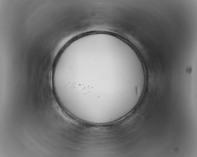 X0000112751272200909101531