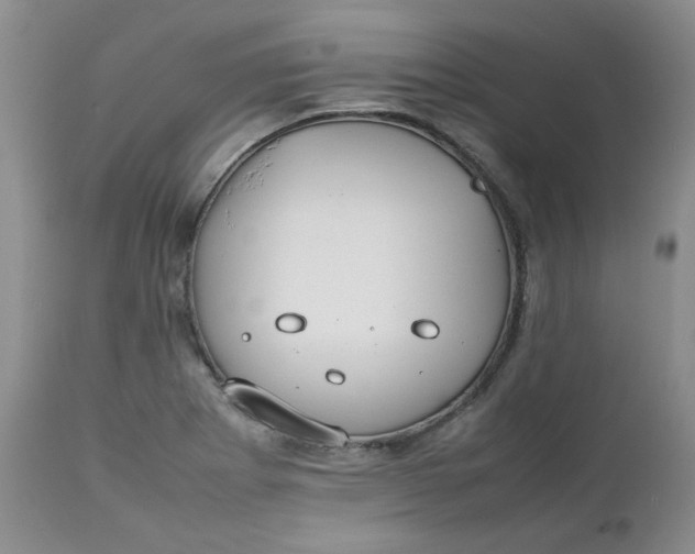 X0000112751273200909101531