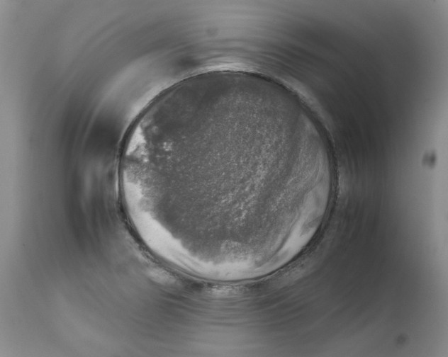 X0000112751274200909101531