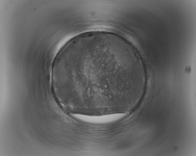 X0000112751275200909101531