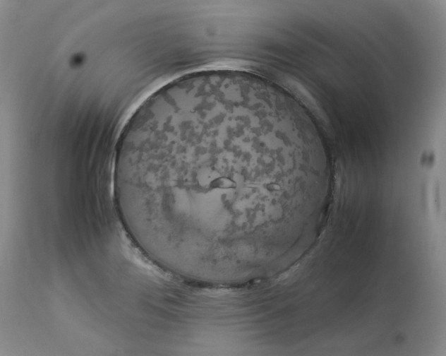 X0000112751276200909101531