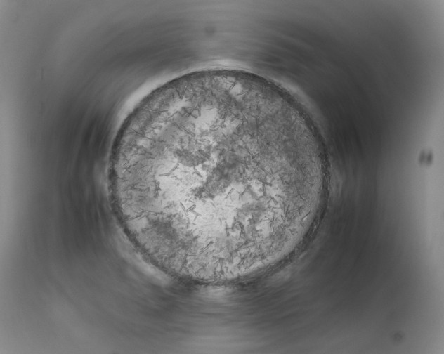 X0000112751278200909101531