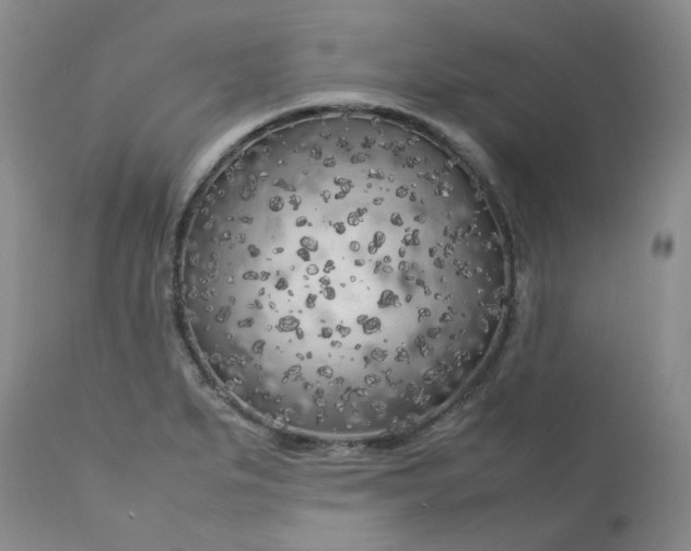 X0000112751279200909101531