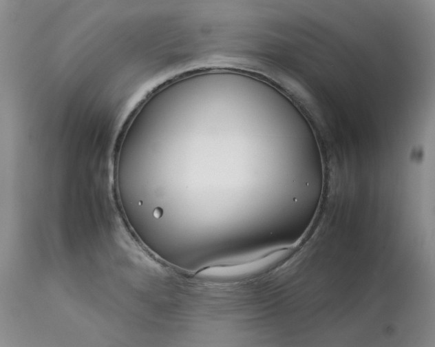 X0000112751280200909101531