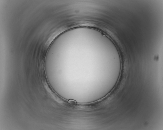 X0000112751281200909101531