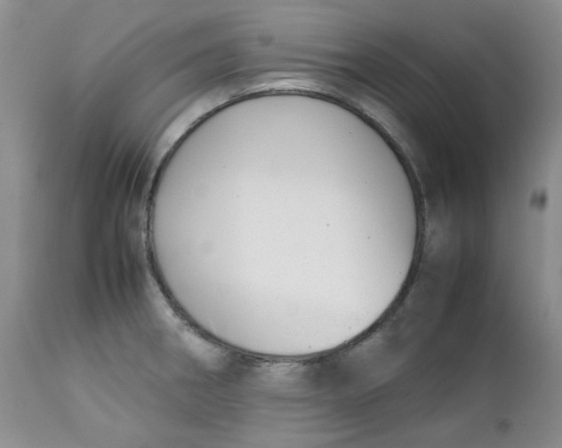 X0000112751282200909101531