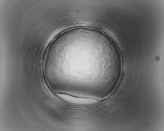 X0000112751283200909101531