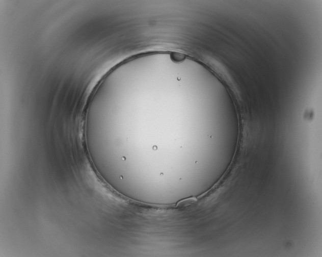 X0000112751284200909101531