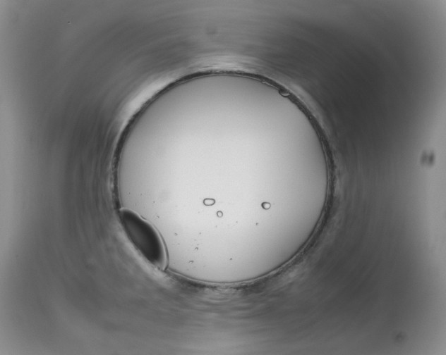 X0000112751285200909101531