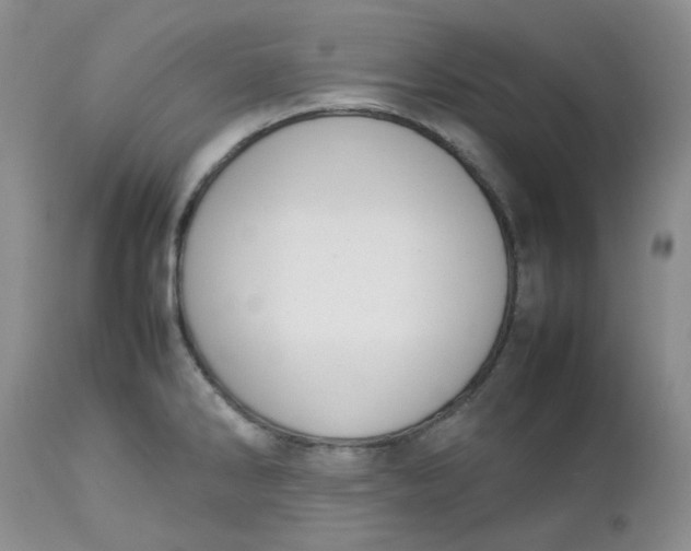 X0000112751286200909101531