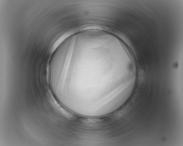 X0000112751290200909101531