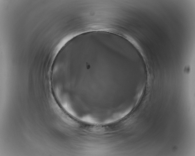 X0000112751291200909101531