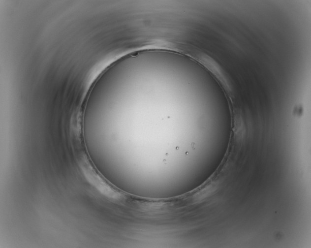 X0000112751292200909101531