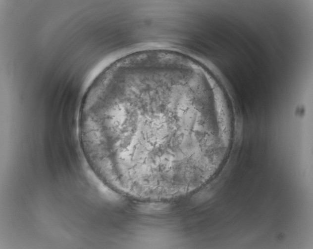 X0000112751294200909101531