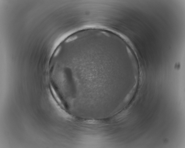 X0000112751295200909101531