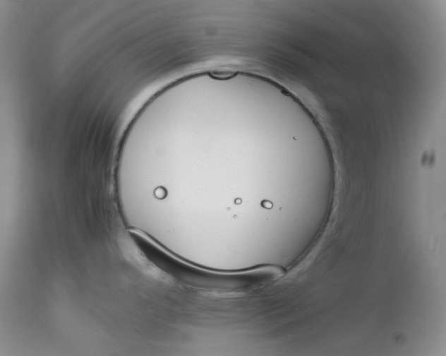 X0000112751296200909101531