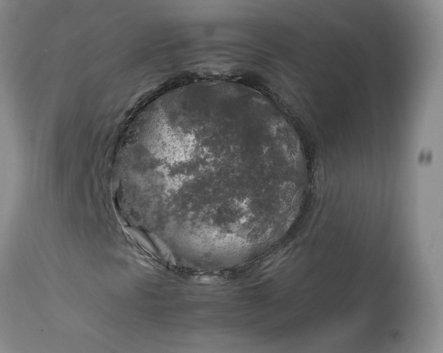 X0000112751297200909101530