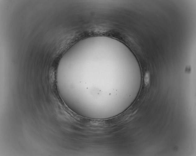 X0000112751299200909101530