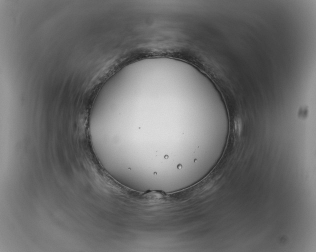 X0000112751300200909101530