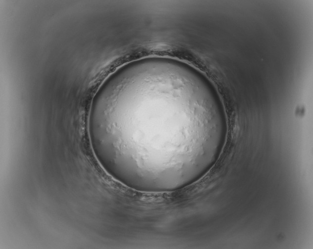 X0000112751301200909101530