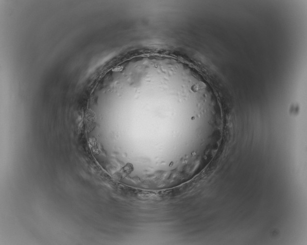 X0000112751302200909101530