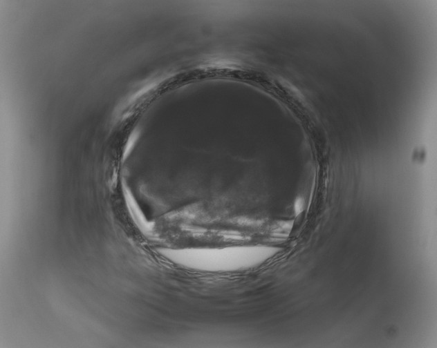 X0000112751303200909101530