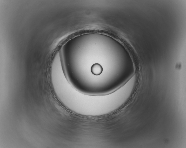 X0000112751304200909101530