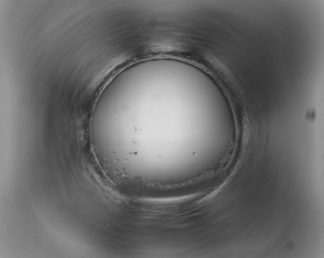 X0000112751305200909101530