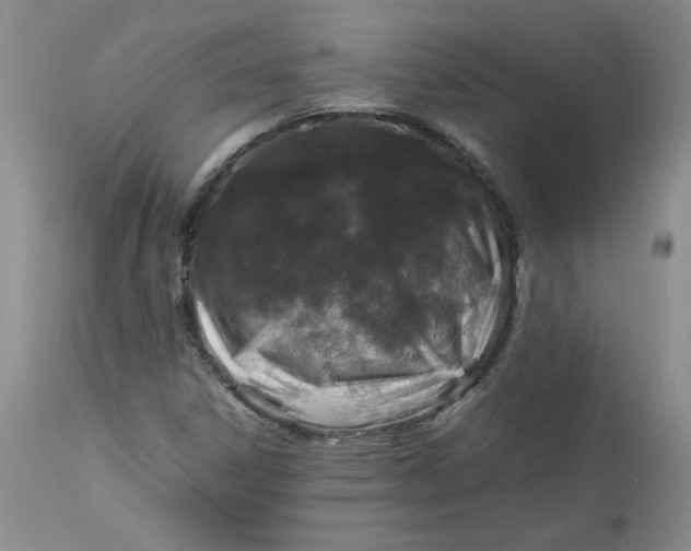 X0000112751306200909101530