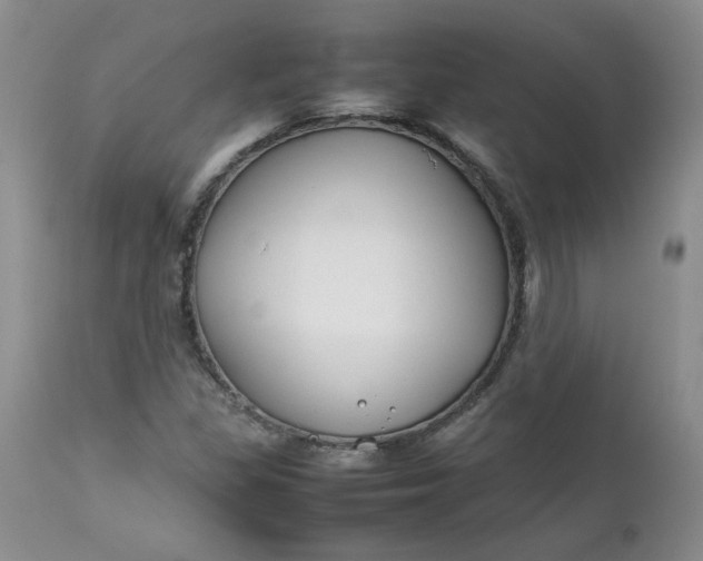 X0000112751309200909101530